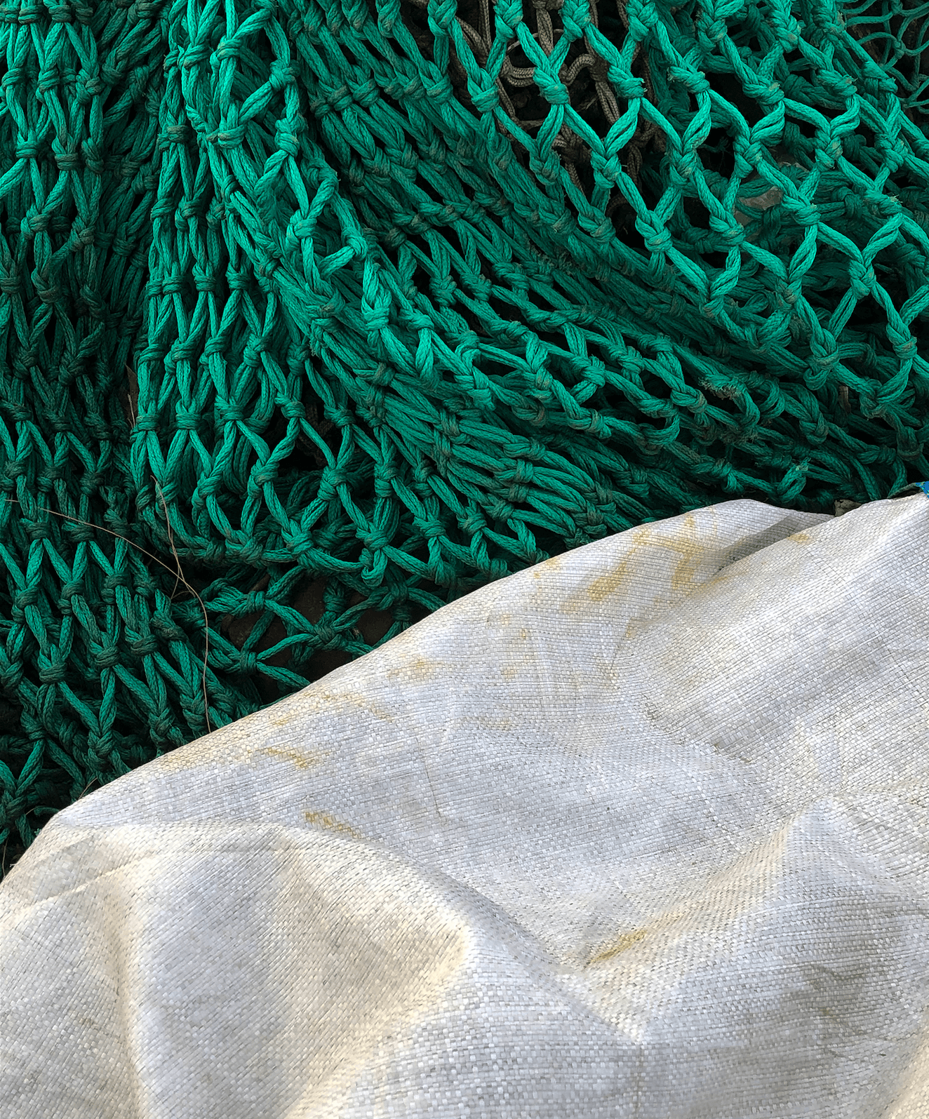 Chrome, 2023-05-19, 14:45:48